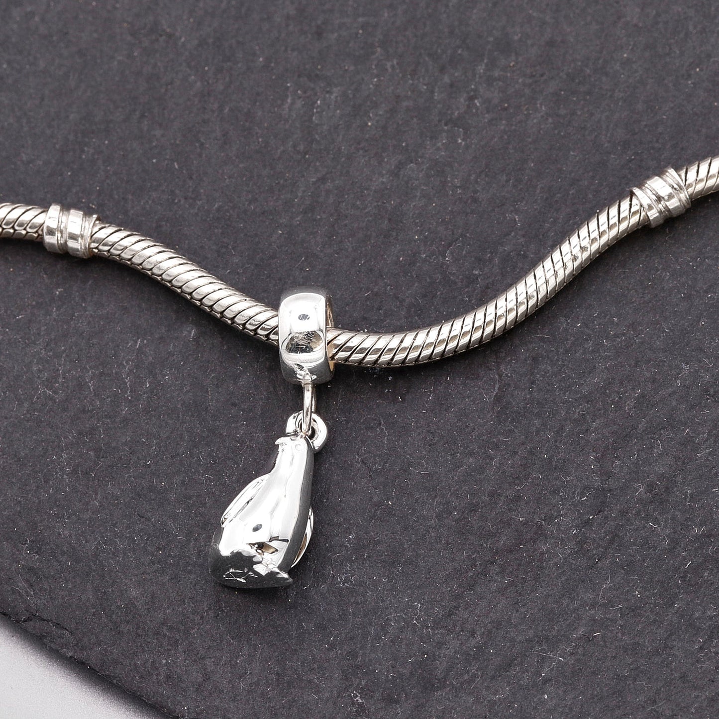 Penguin Silver Charm